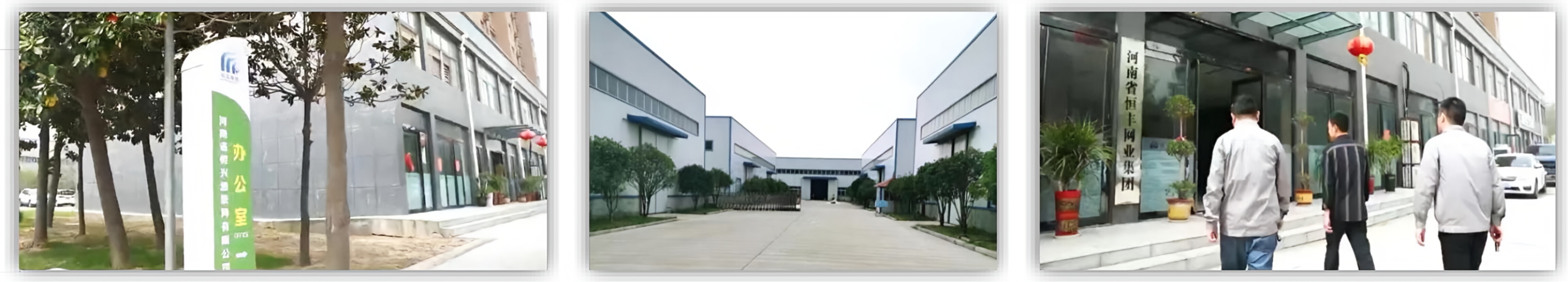 Henan Hengxing: Excellence Since 1979